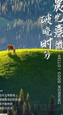 世界杯法国秘鲁解说员-世界杯法国与秘鲁，激情碰撞的绿茵盛宴